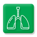 Lung (1)